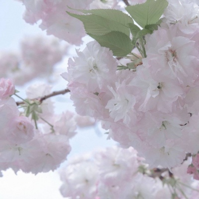 兽设复古风格设计FurryQQ群